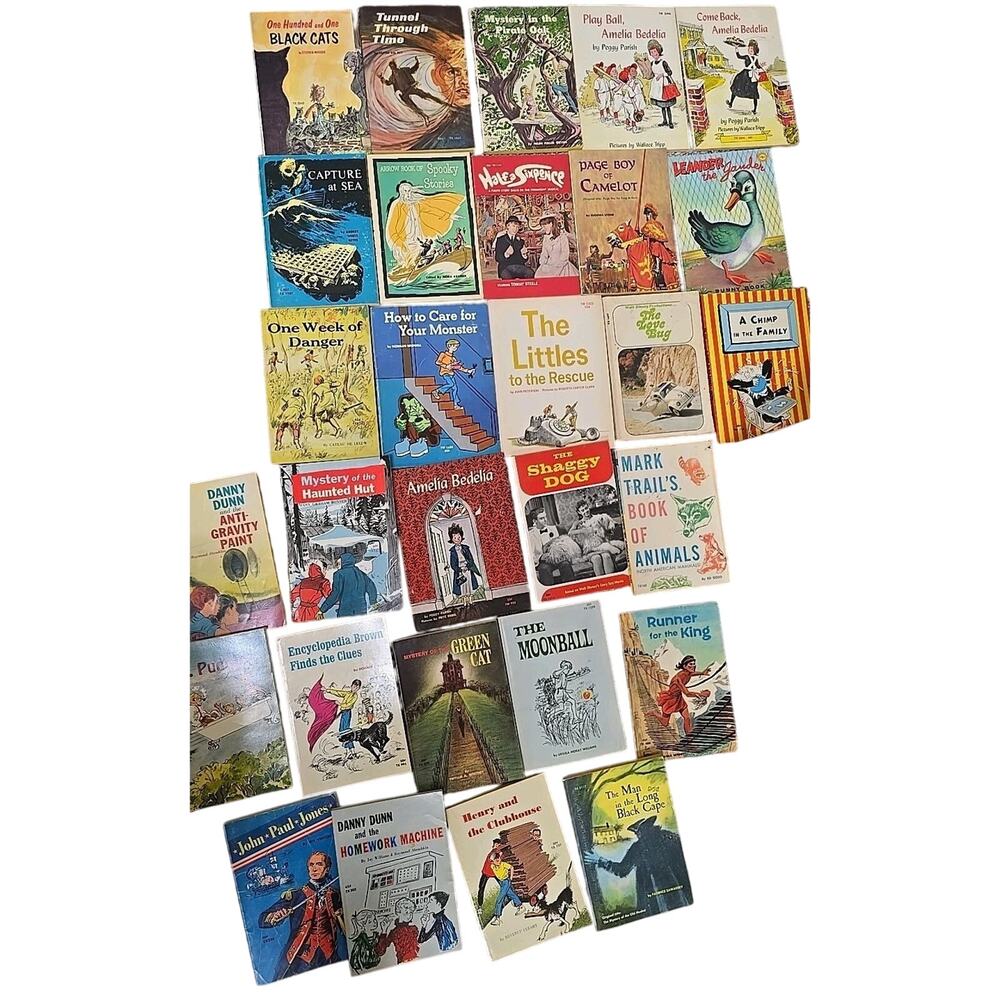 Vtg Lot SBS TX Scholastic & Others PB Books 1960s-90s VTG Variety Of Titles Rare